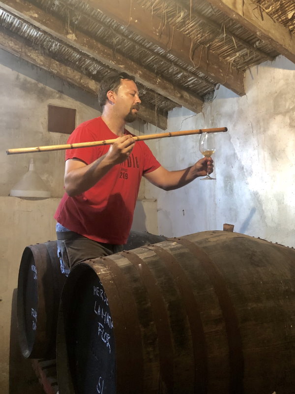 Pepe, Hilarión, Álvaro i Alberto