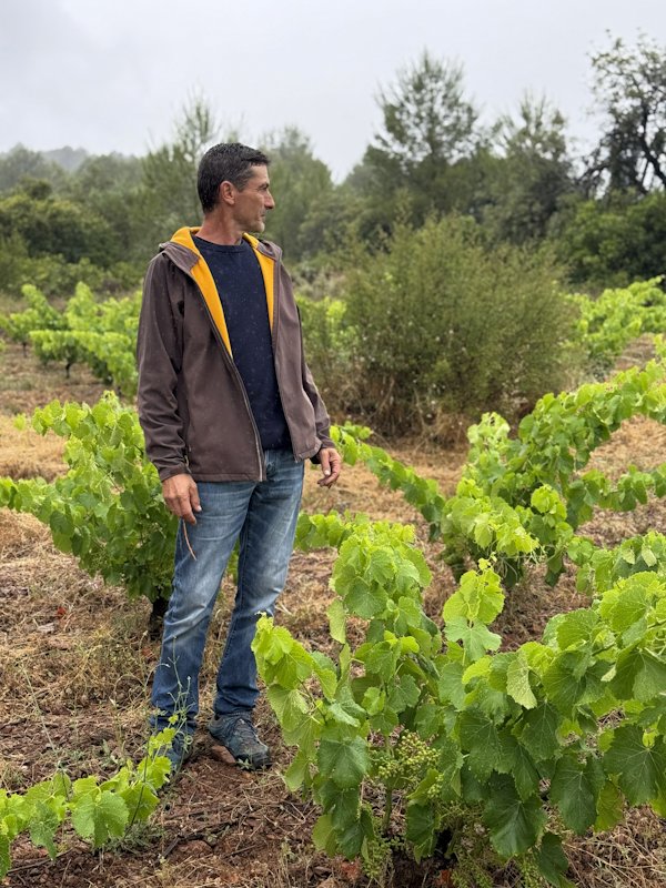 Maurizio Verardo, Les Agulles Wine